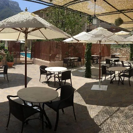 Y Des Puig Hotel 4*